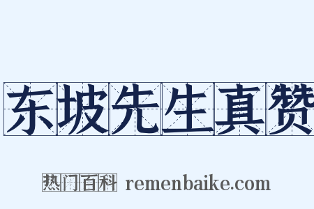 东坡先生真赞是什么意思的图片